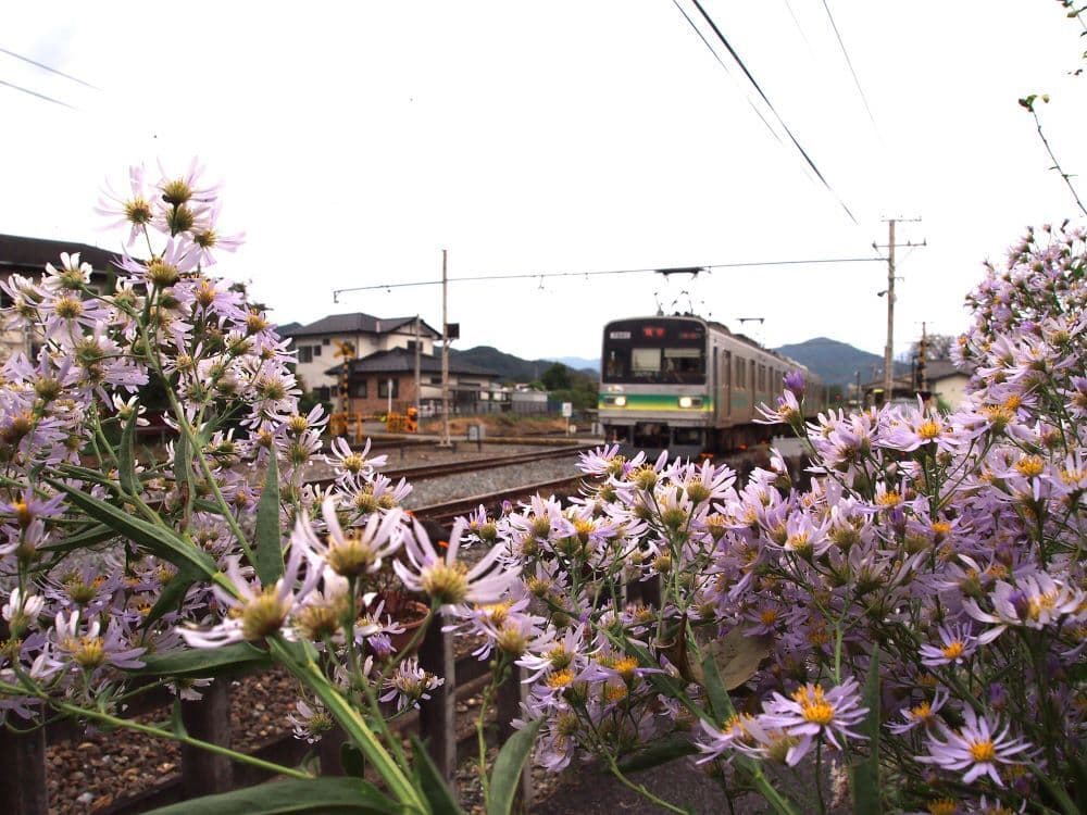 No.80　今日も元気で