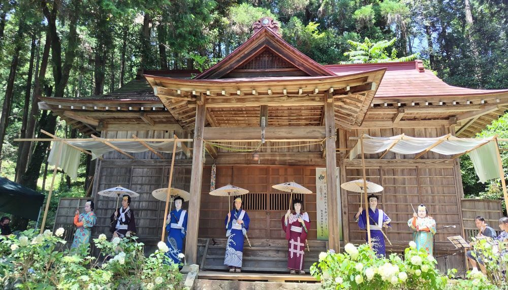 164あじさい神社の紫陽花歌舞伎