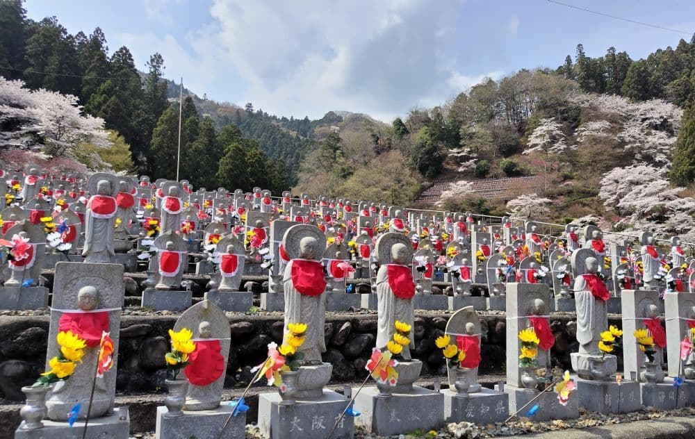 181紫雲山地蔵寺の春