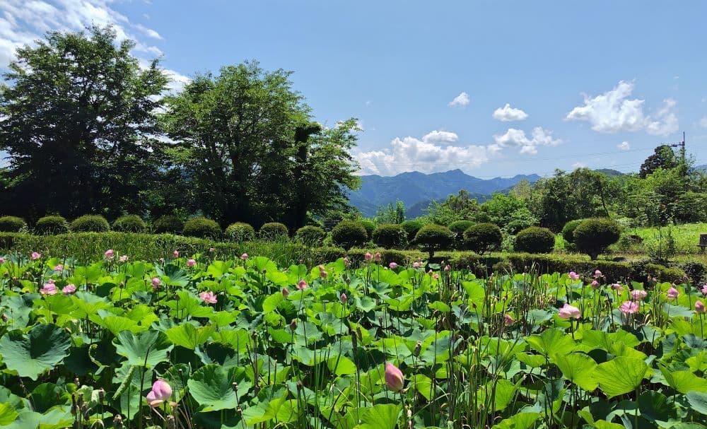 199やすらぎの丘公園